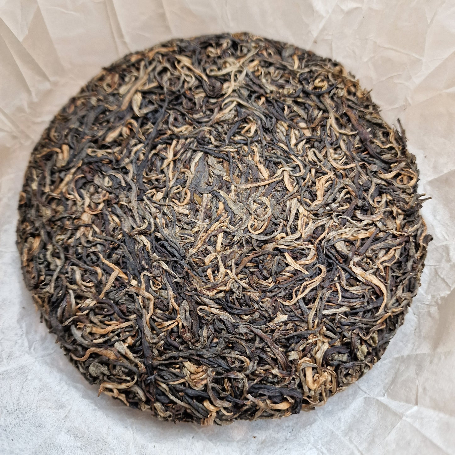 #682 Puerh Sheng 2021 - Gu Shu Ha Giang
