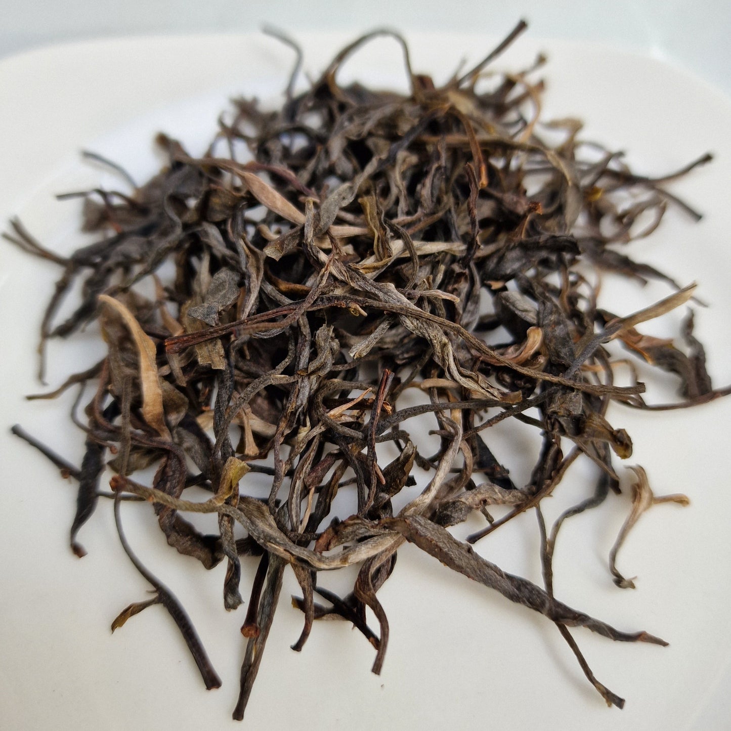 #602 2020 Sheng Puerh Gu Shu Xa Phin Wild Ancient Trees
