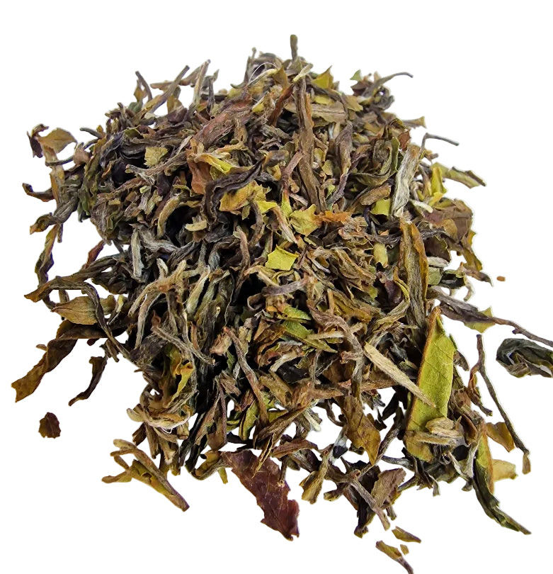 First Flush Organic Darjeeling Samabeong