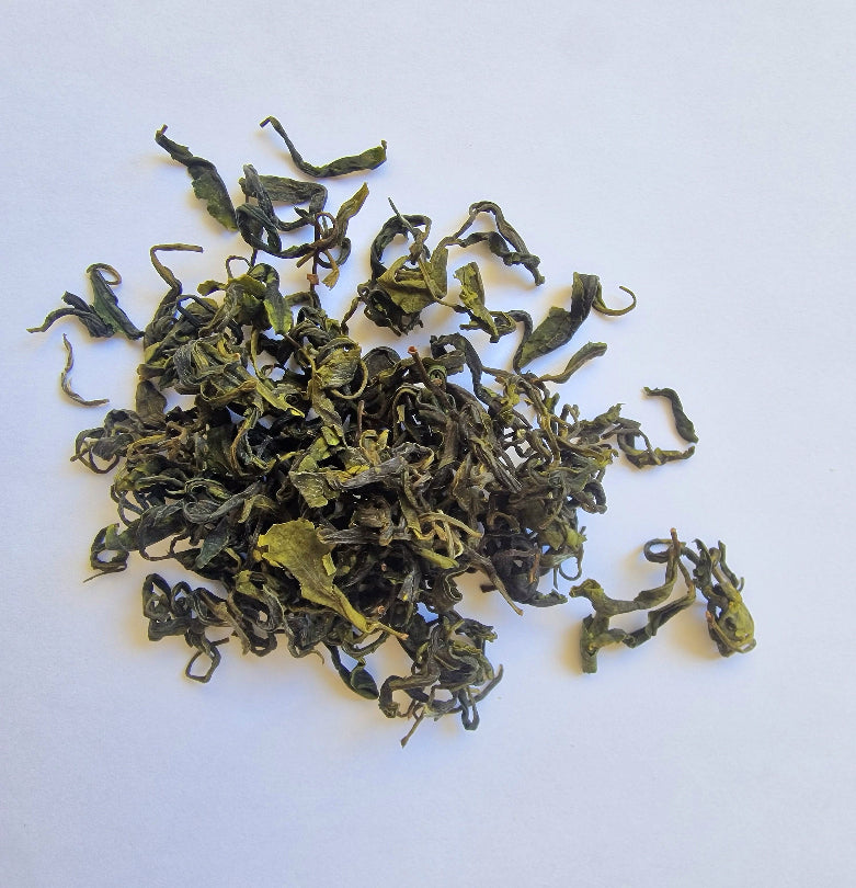 #295 Rosa Oriental "Cha Camelia"