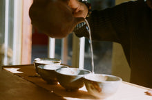 Load image into Gallery viewer, 02290018