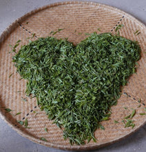 Load image into Gallery viewer, P1040822