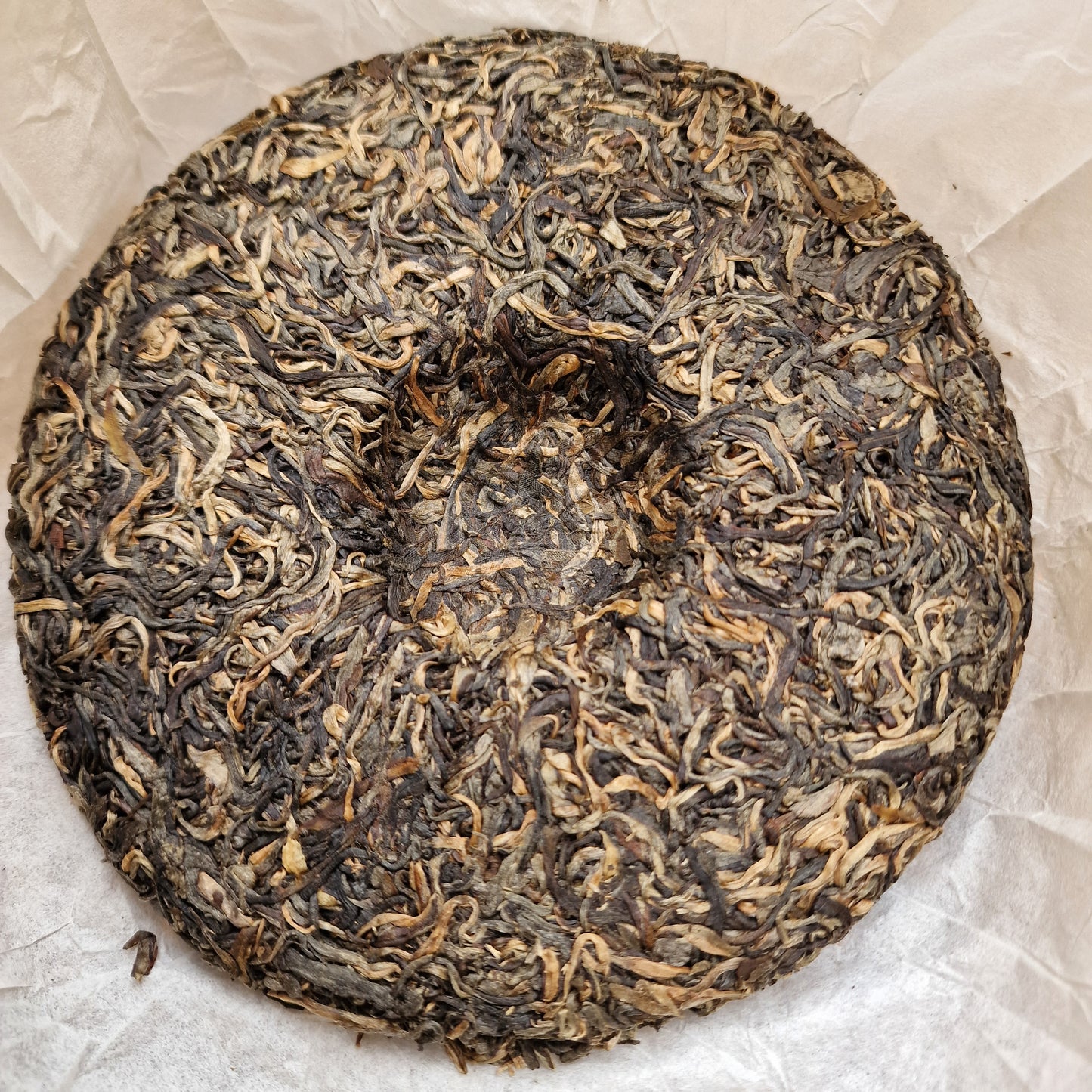 #682 Puerh Sheng 2021 - Gu Shu Ha Giang