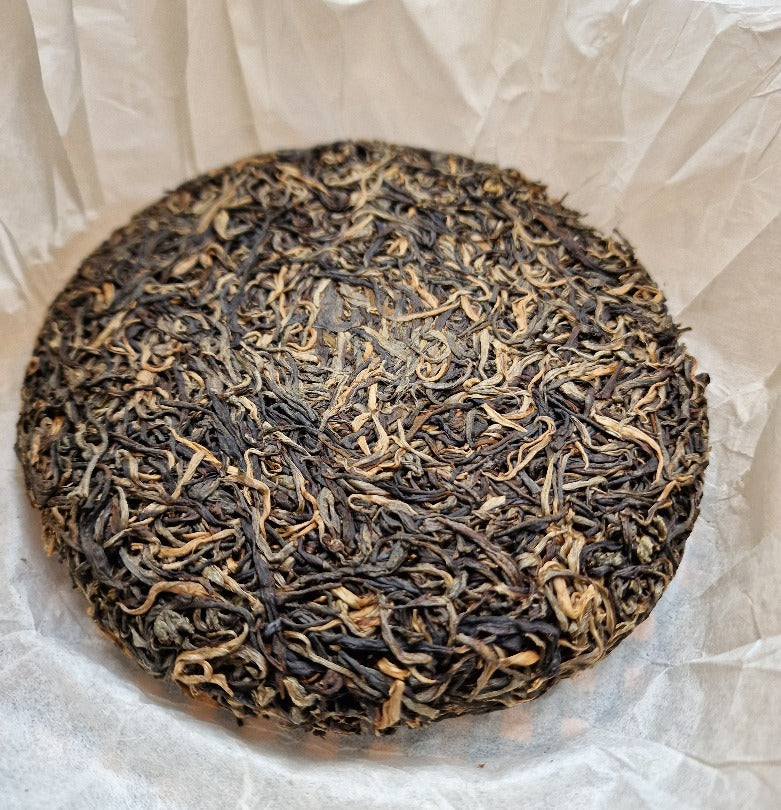 #682 Puerh Sheng 2021 - Gu Shu Ha Giang