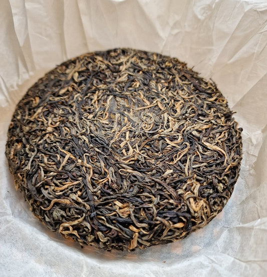 #682 Puerh Sheng 2021 - Gu Shu Ha Giang