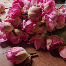 Cargue la imagen en el visor de la galería, té verde orgánico Lotus Flower