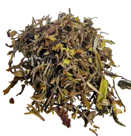 First Flush Organic Darjeeling Samabeong