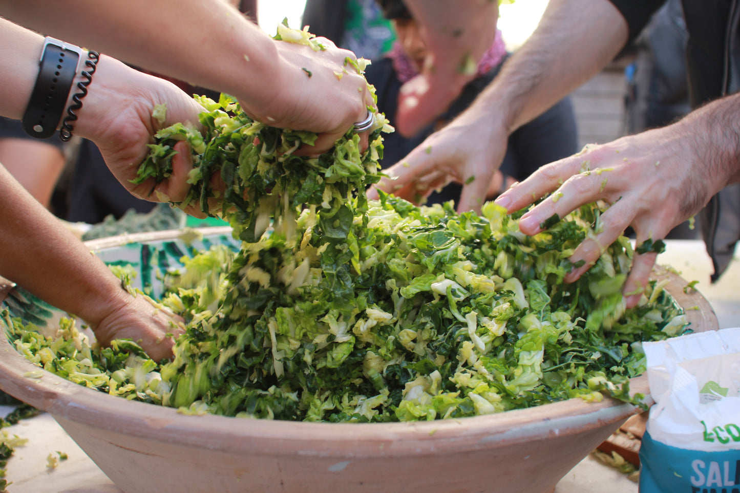 Introduction to Fermentation: April 19 @ 11 AM (2 hours)