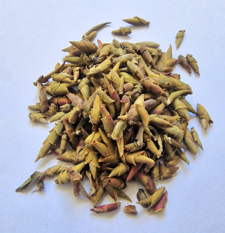 #133 Capullos silvestres morados