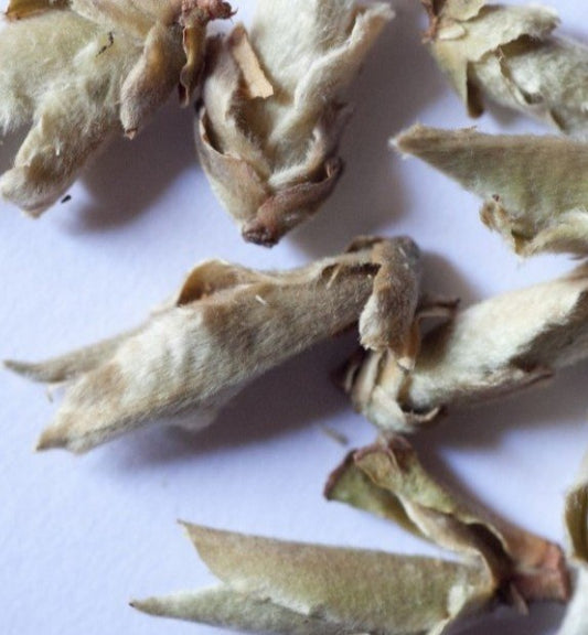 #102 Brotes de Pu-erh Secados al Sol - Ya Bao