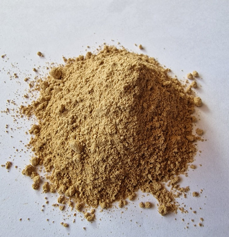 Organic Reishi Powder with potent calming properties