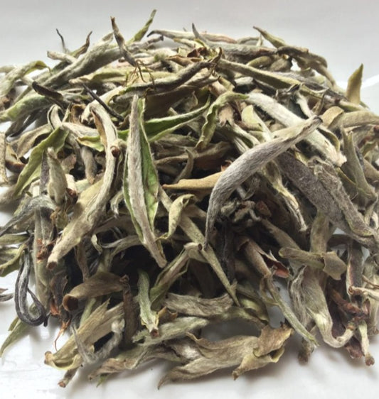 B241225F-F664-4F4B-993C-F38481683484