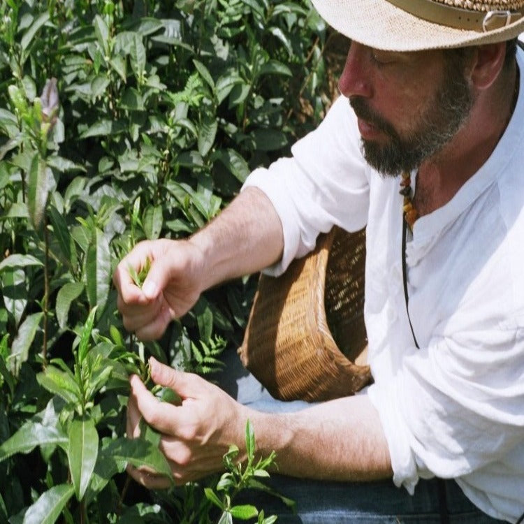 Taller de té verde Matcha 2 de mayo a las 11h (2 horas)