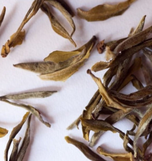 sampler pack te verde | Caj Chai Tehouse Barcelona